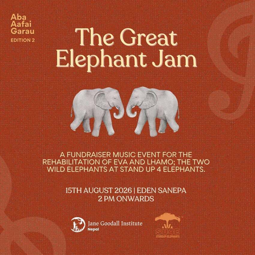 Aba Affai Garau (Edition 2) The Great Elephant Jam
