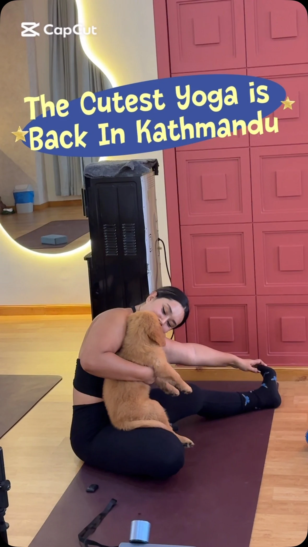 Yoga with Puppies poster