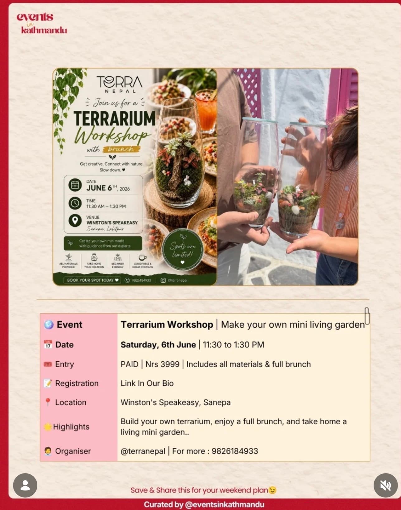 Terrarium Workshop | Make your own mini living garden