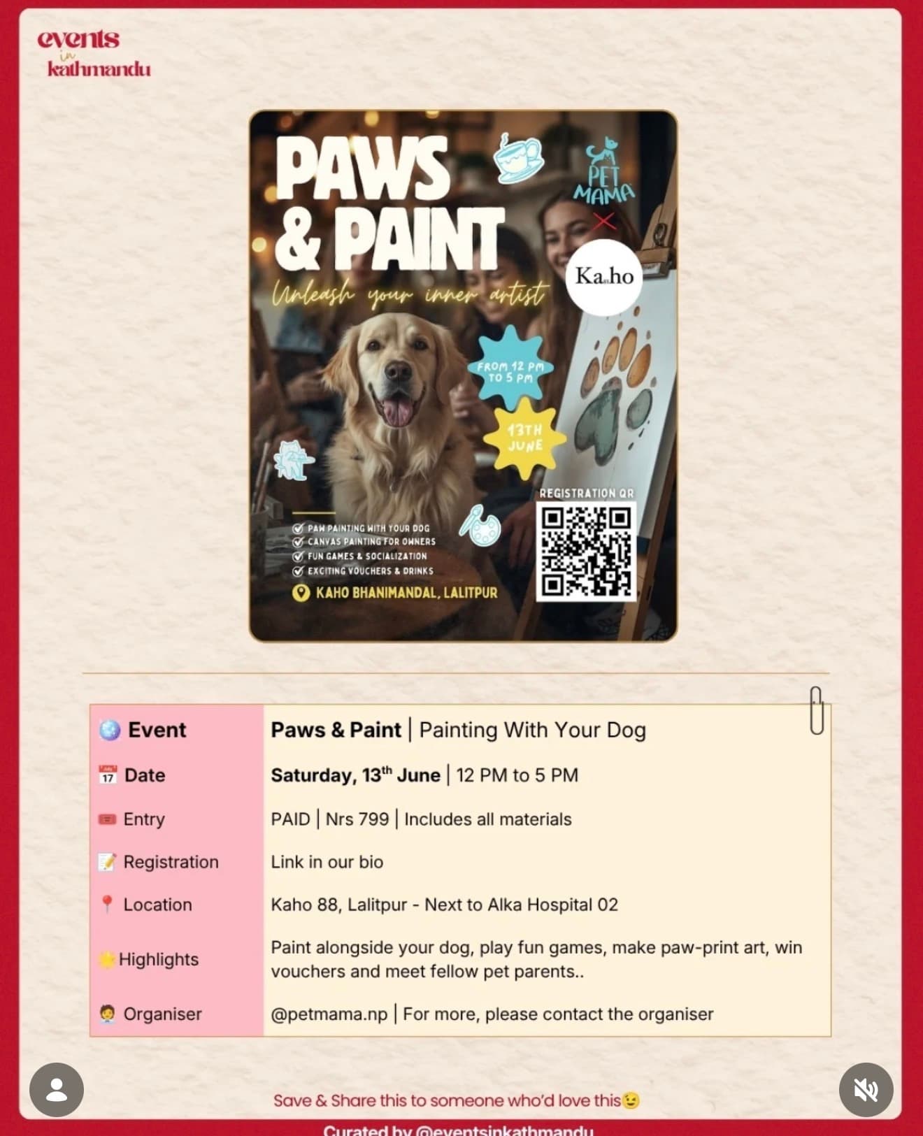 Paws & Paint | Painting With Your Dog