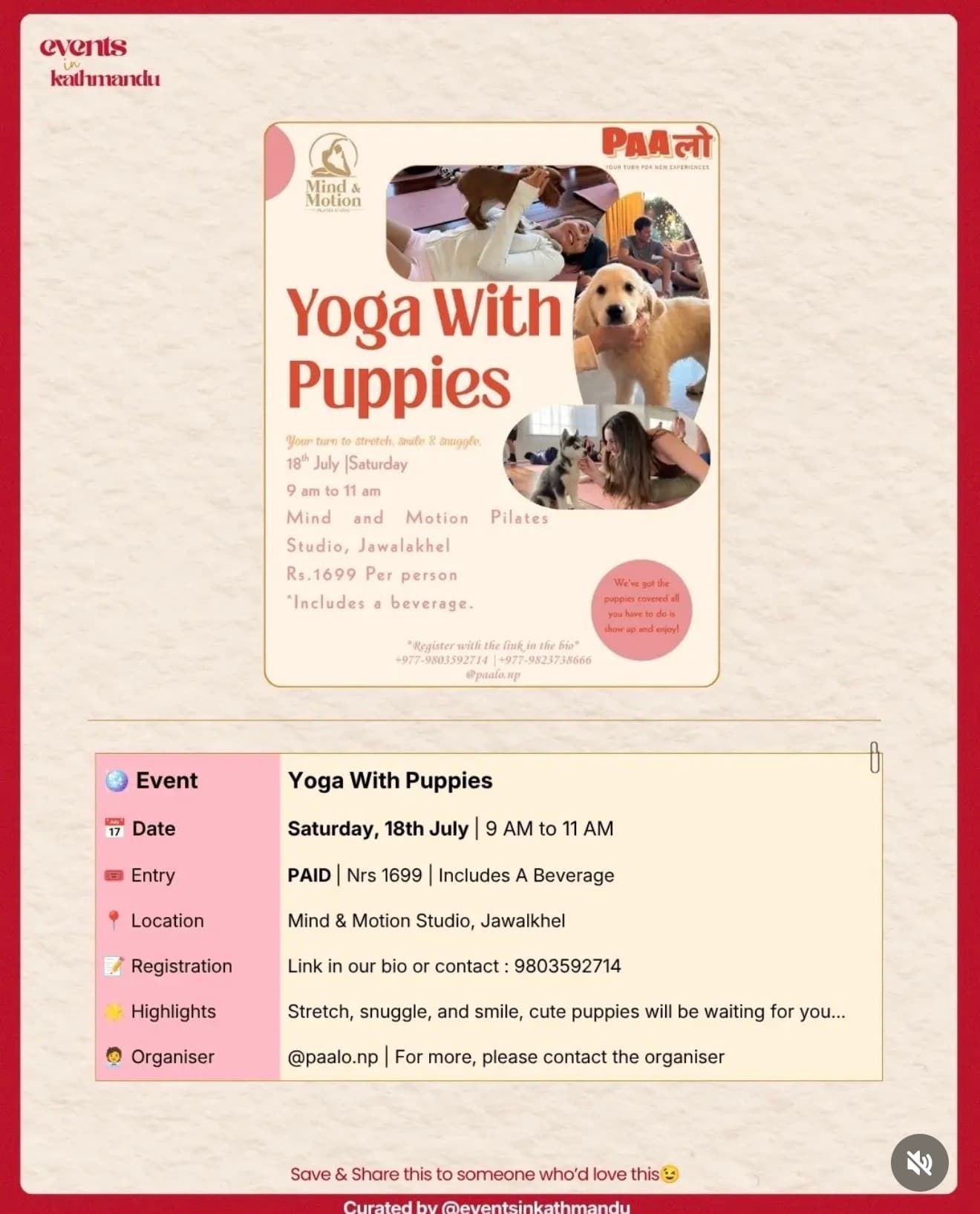 Yoga With Puppies