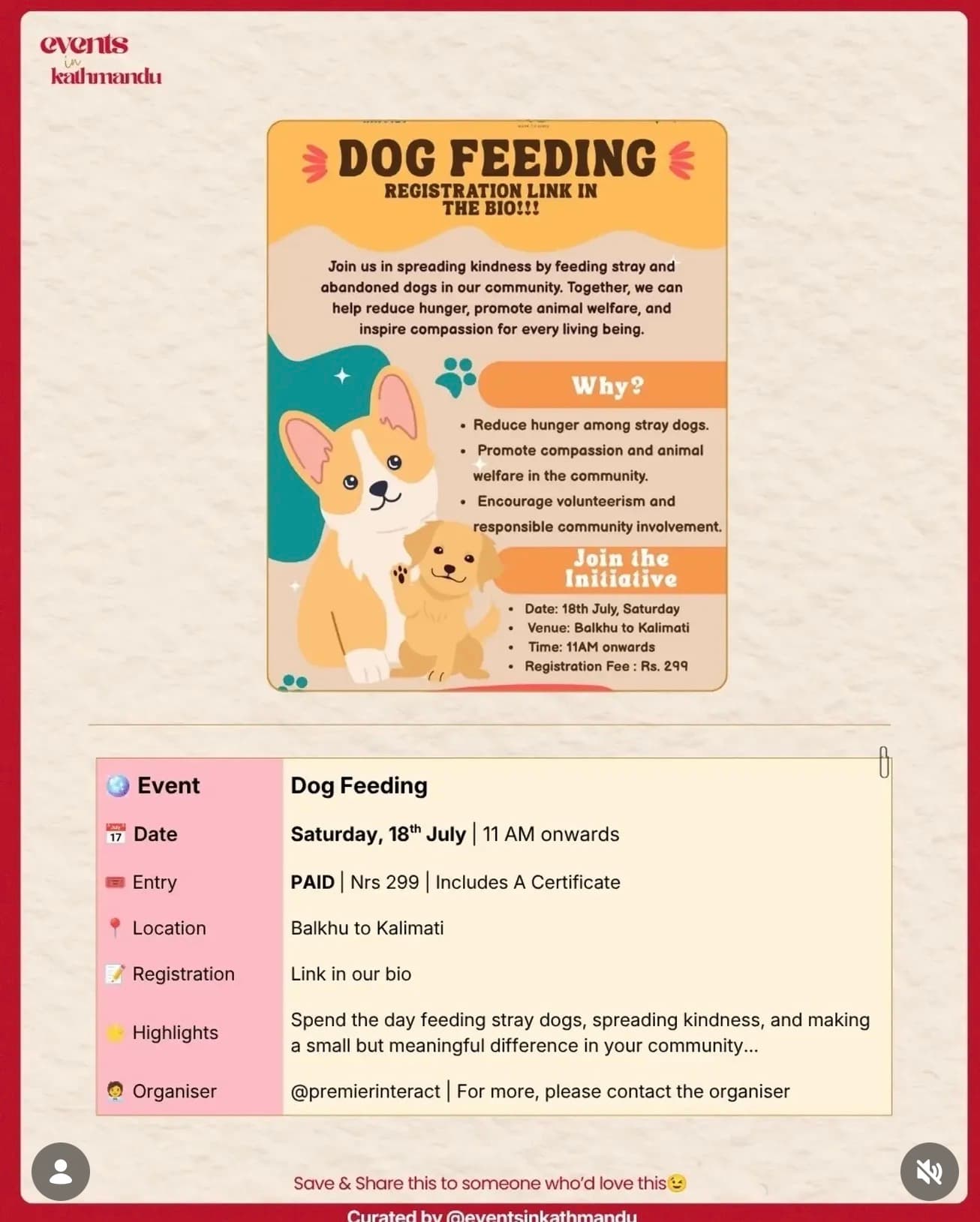 Dog Feeding