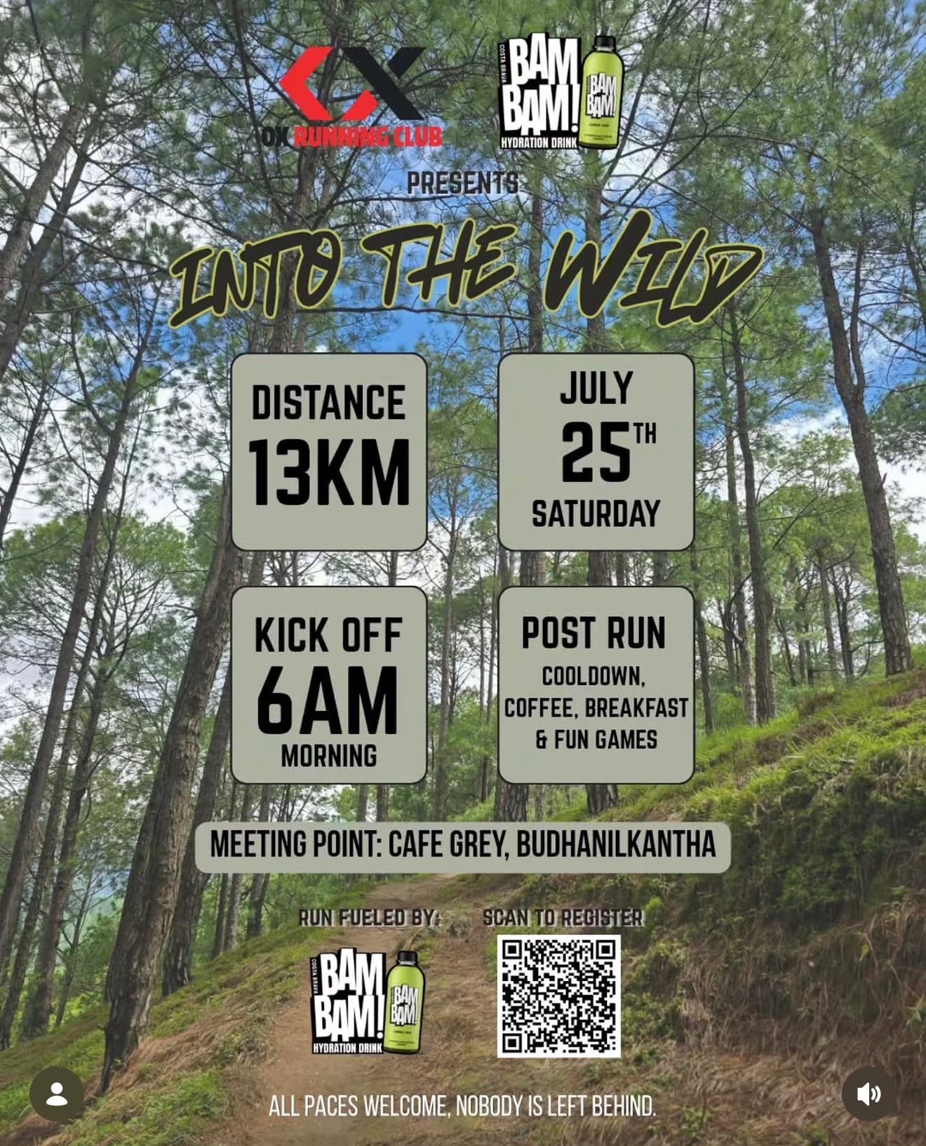 Into The Wild