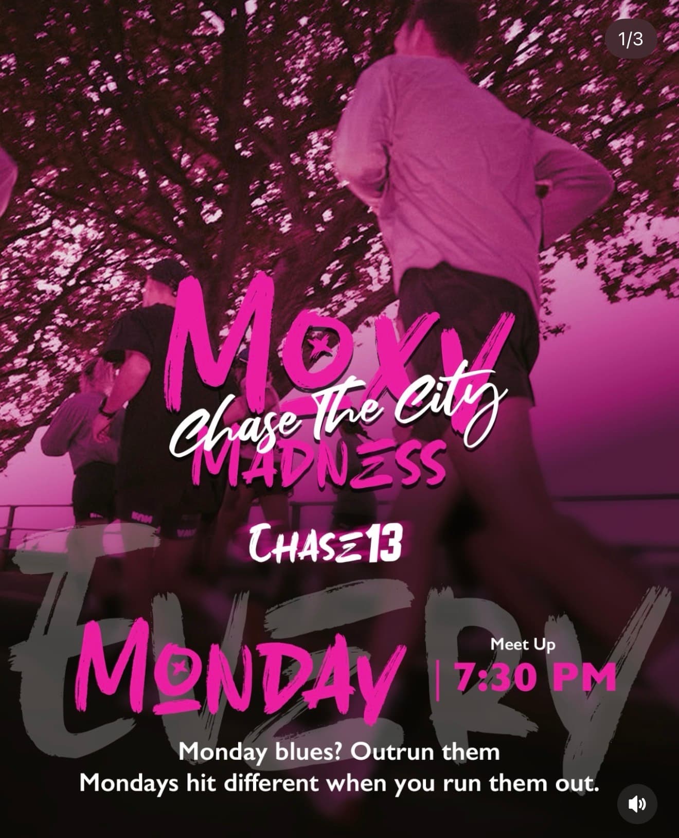 Mox Chase The City Madness