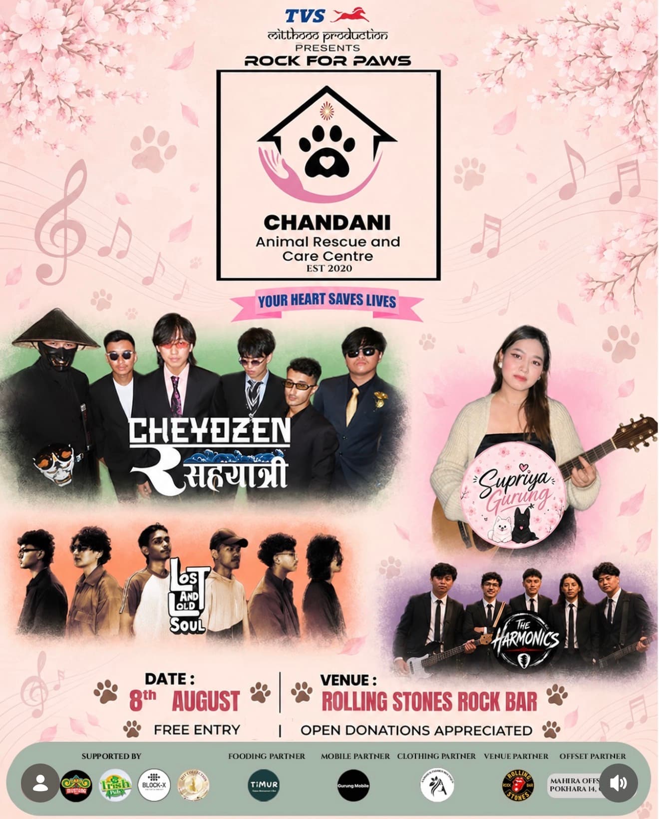 Rock for Paws