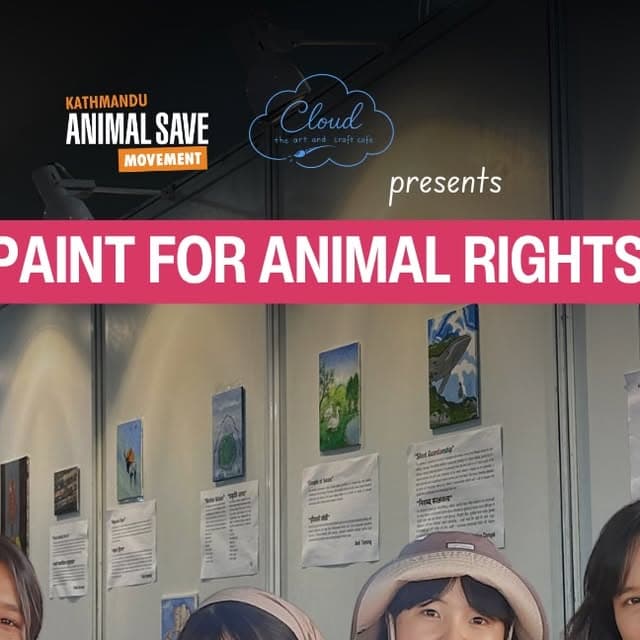 Paint for Animal Rights