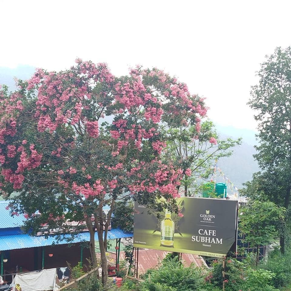 Cafe Subham, picture from their Facebook page