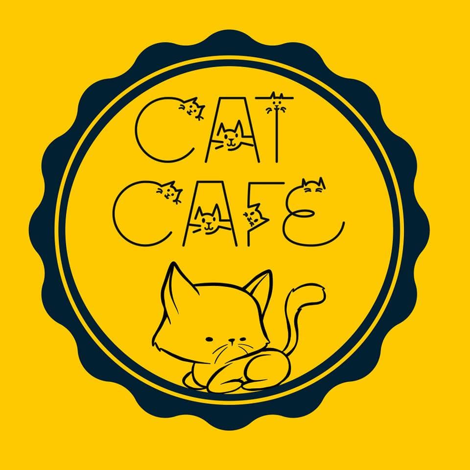 Cat Cafe Nepal, picture from their Facebook page