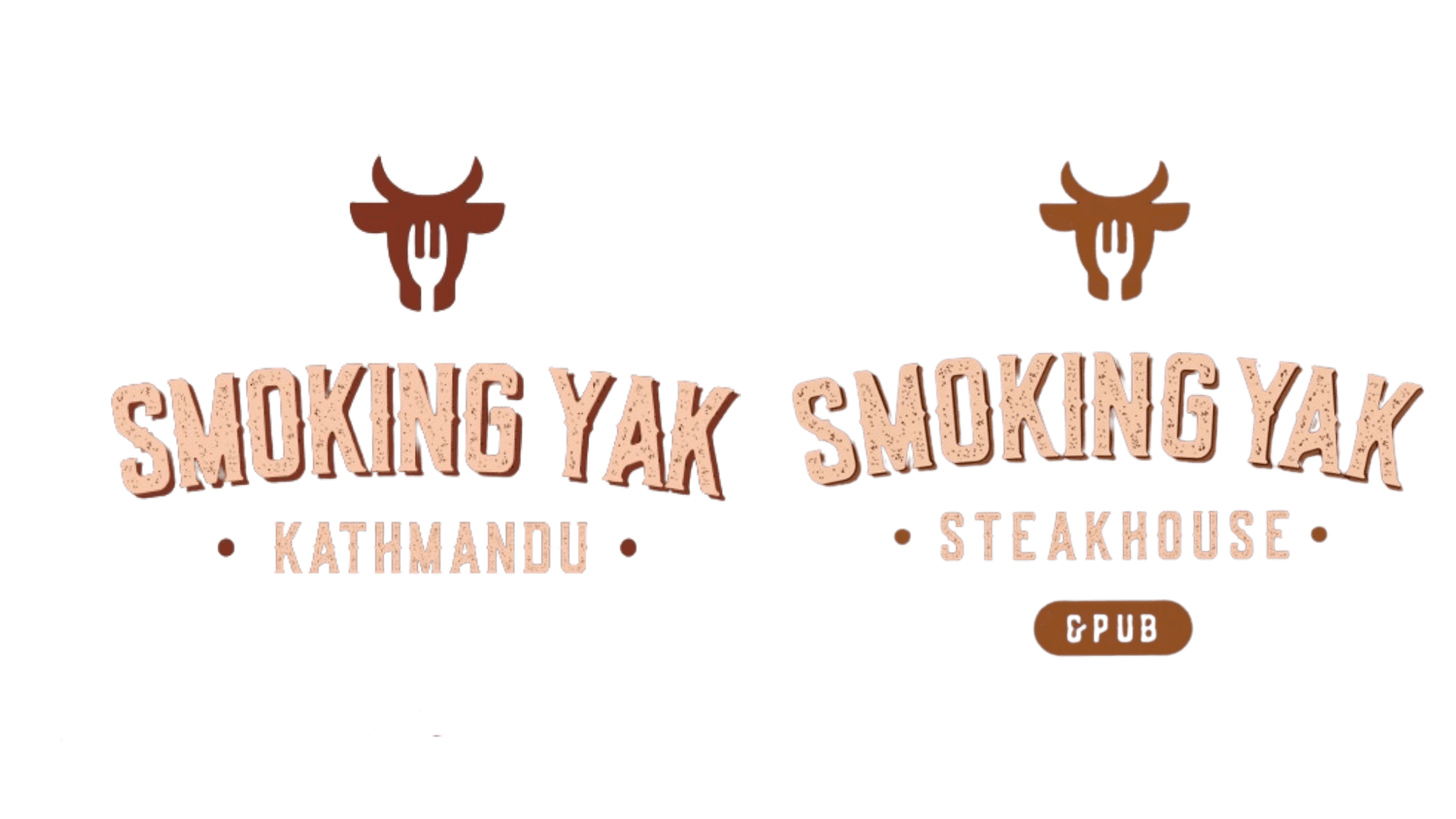 Yak, photo from their website